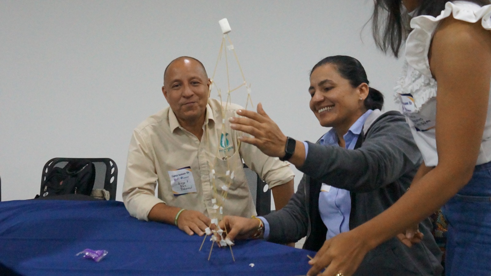 Implementación en campo