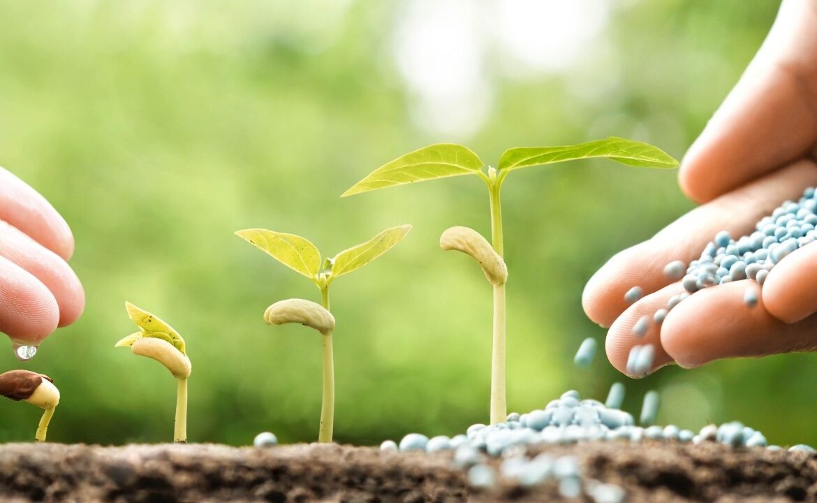 Estrategias para aumentar las ventas de insumos agrícolas.